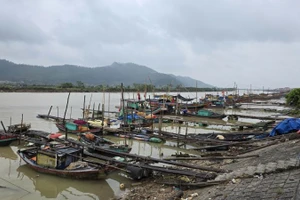 Cảng cá Hòa Lộc, xã Hoa Lộc.