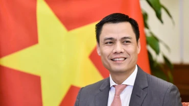 Thứ trưởng Ngoại giao Đặng Hoàng Giang. (Ảnh: Bộ Ngoại giao)