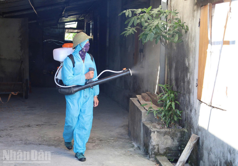 Lực lượng chức năng phun diệt muỗi trưởng thành tại nơi phát hiện sốt xuất huyết. ndo_bl_img-3434.jpg