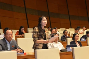 Đại biểu Quốc hội Đoàn Thị Thanh Mai (Hưng Yên) đề nghị, bất cứ công trình nào cũng chỉ được đưa vào sử dụng sau khi đã được các cơ quan chức năng nghiệm thu hệ thống phòng cháy, chữa cháy.