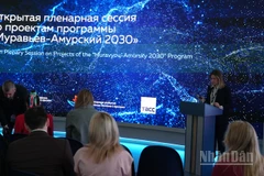 Một phiên họp trong khuôn khổ EEF-2025. (Ảnh: XUÂN HƯNG)