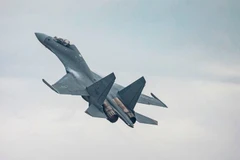 Dòng tiêm kích Su-30 của Nga. (Ảnh: RIA Novosti)