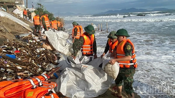Quân khu 5 huy động gần 300 chiến sĩ xuống triển khai gia cố bờ biển sạt lở.