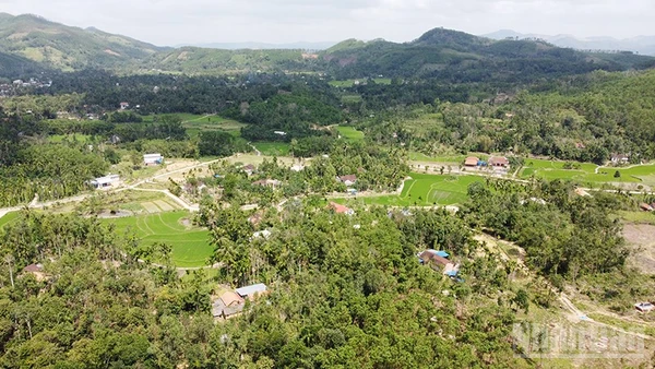 Nhiều nông dân ở xã Lãnh Ngọc, thành phố Đà Nẵng đã thoát nghèo và làm giàu bền vững nhờ tiếp cận kịp thời cơ chế nhà nước.