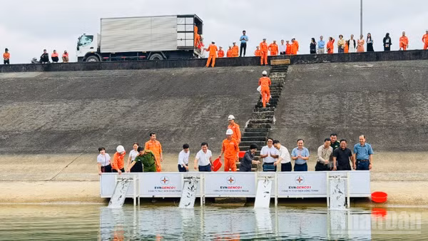 Công ty Thủy điện Sông Tranh đã thả 30.000 con cá giống gồm cá trắm cỏ và cá mè xuống lòng hồ.