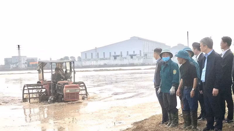 Đoàn công tác của Cục Quản lý và Xây dựng công trình thủy lợi kiểm tra lấy nước đợt 1 gieo cấy lúa đông xuân 2025-2026 tại tỉnh Ninh Bình.