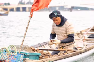 Nghề lặn cạy hàu vất vả và chỉ làm được trong mùa hè khi dòng nước tương đối ổn định.