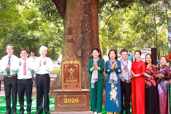 Các đại biểu thực hiện nghi thức công nhận cây di sản tại Di tích Tà Thiết. (Ảnh: NS)