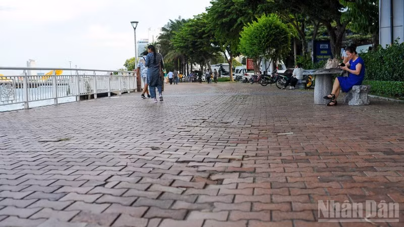 ndo_br_z6901157737054-675286b68466a7f6ce2cf095283fc304-6478.jpg