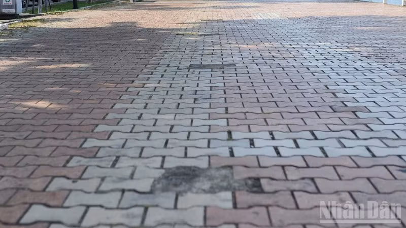 ndo_br_z6901776452377-49ca9e4ae54a836959e4f51fb20c4258-3588.jpg