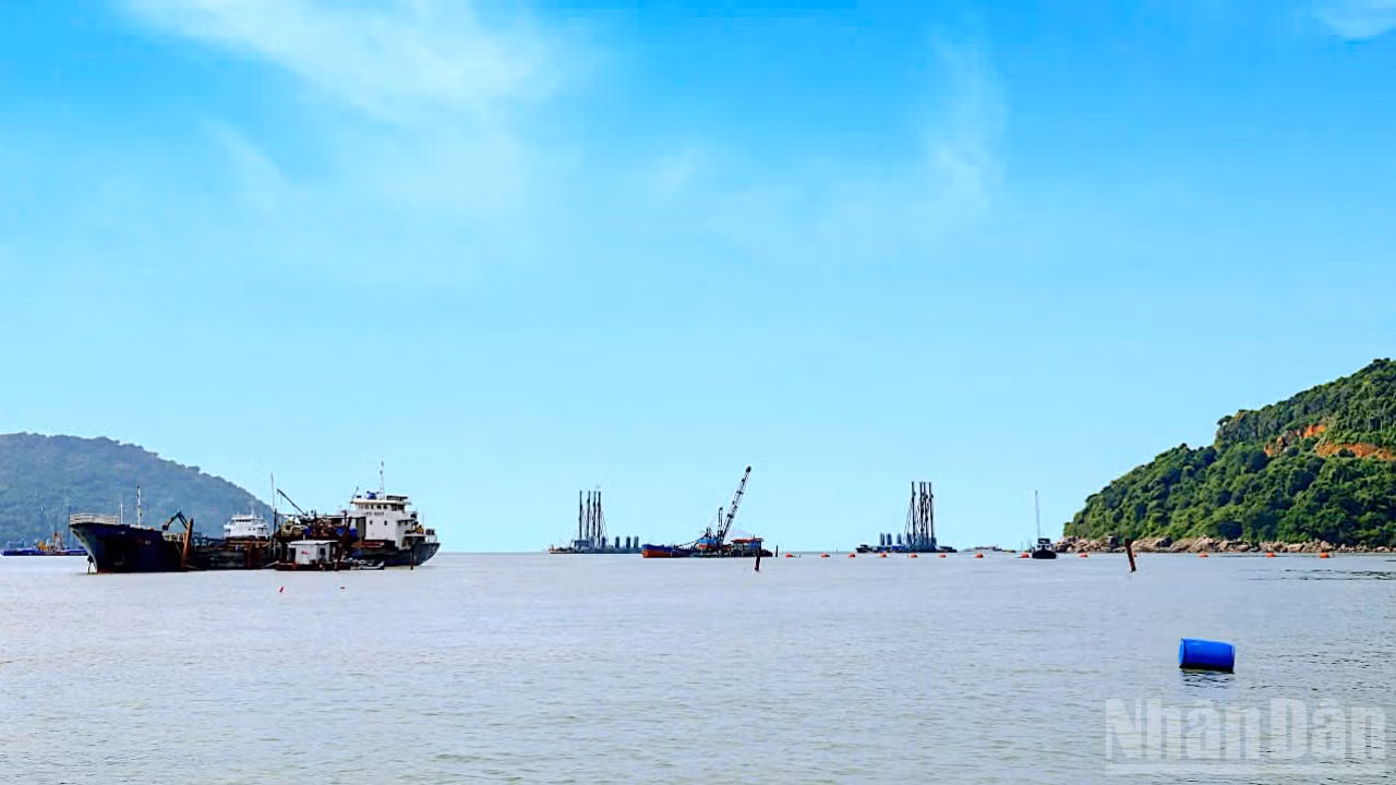 ndo_br_anh-716.jpg