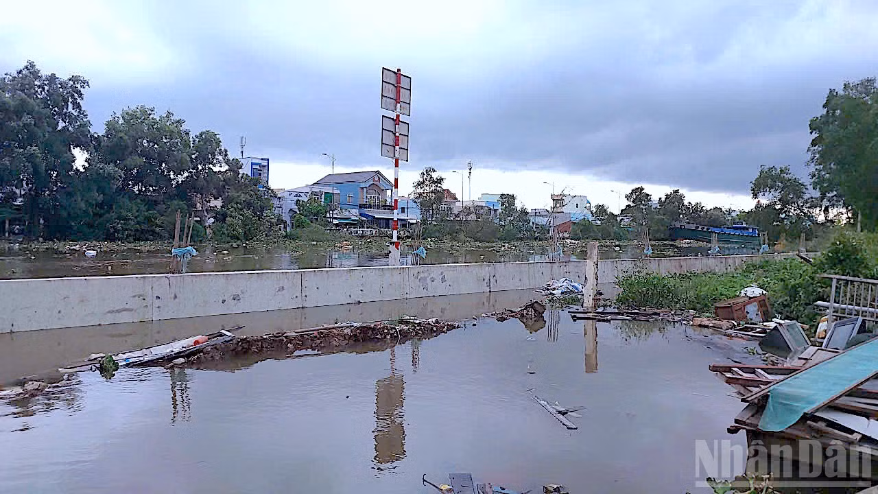 ndo_br_trieu-cuong-10-6739.jpg