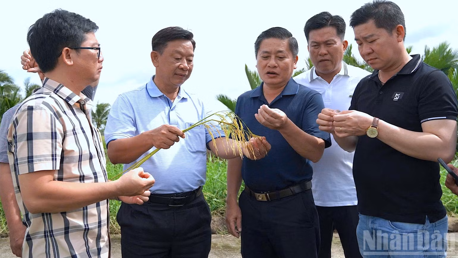 ndo_br_anh-3-4185-3955.jpg