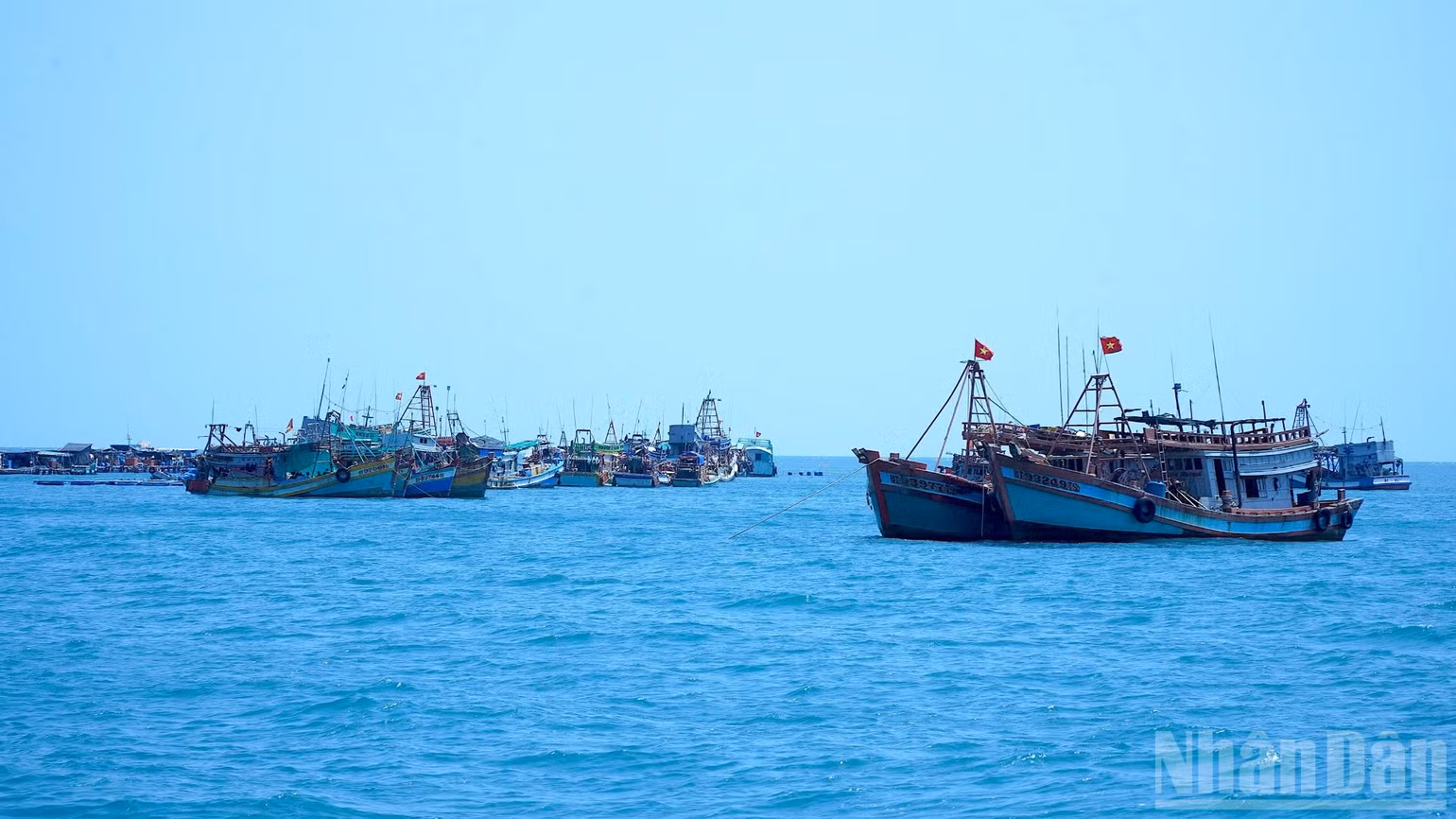ndo_br_dao-6-4980.jpg