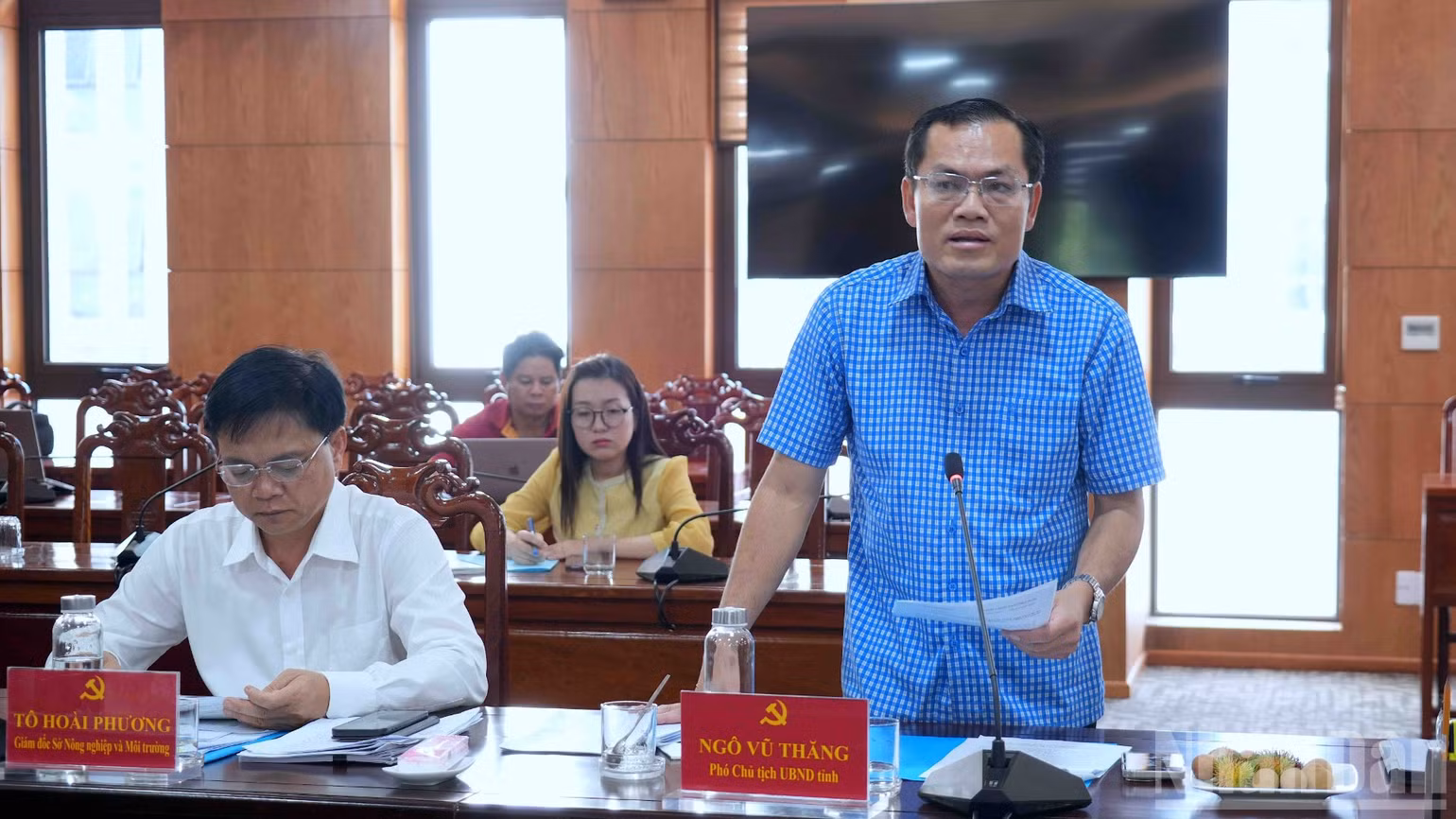 ndo_br_anh-7-2712.jpg
