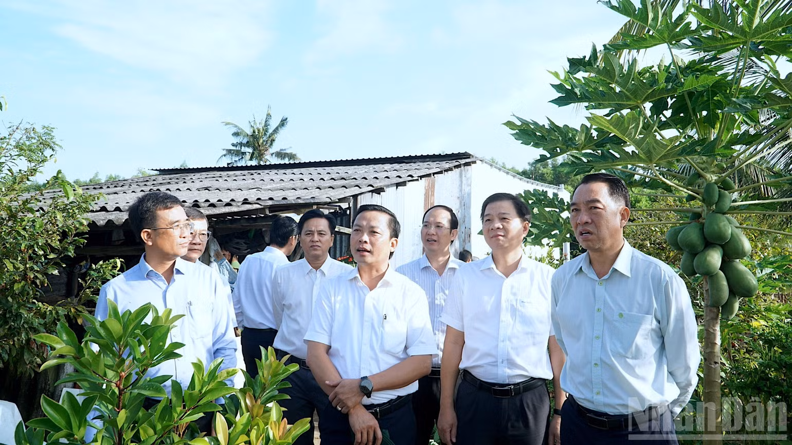 ndo_br_nguyen-phich-3-6509.jpg