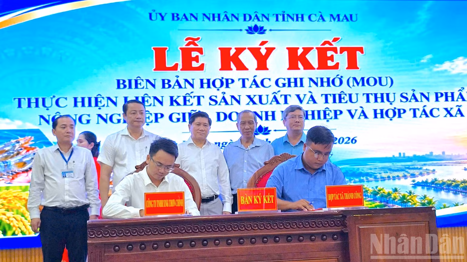ndo_br_anh-894.jpg