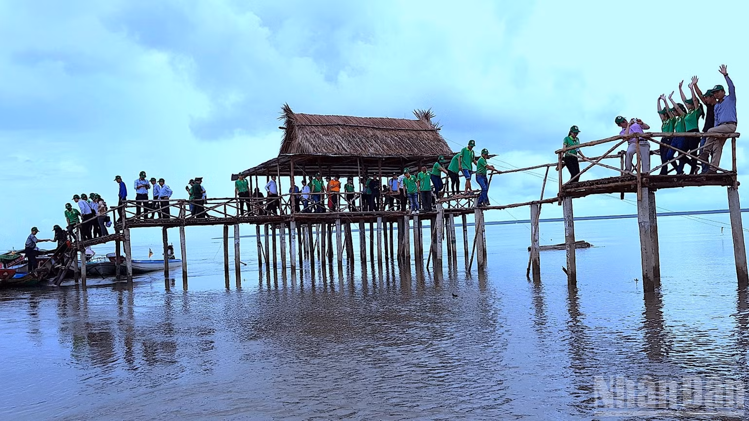 ndo_br_anh-4865.jpg