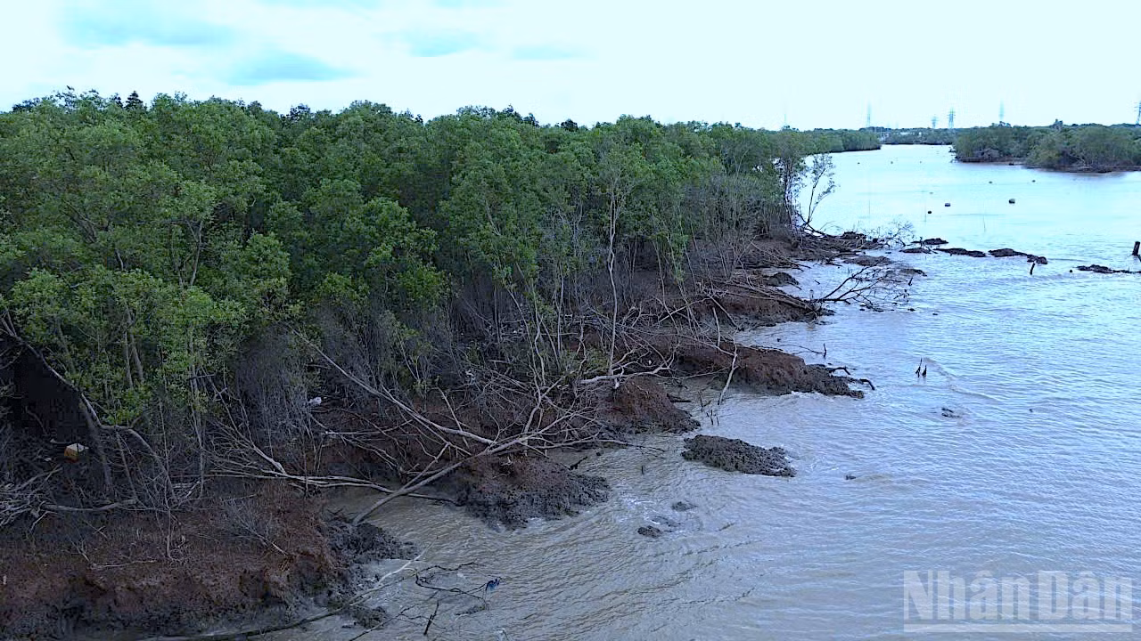 ndo_br_rung-2-2444.jpg