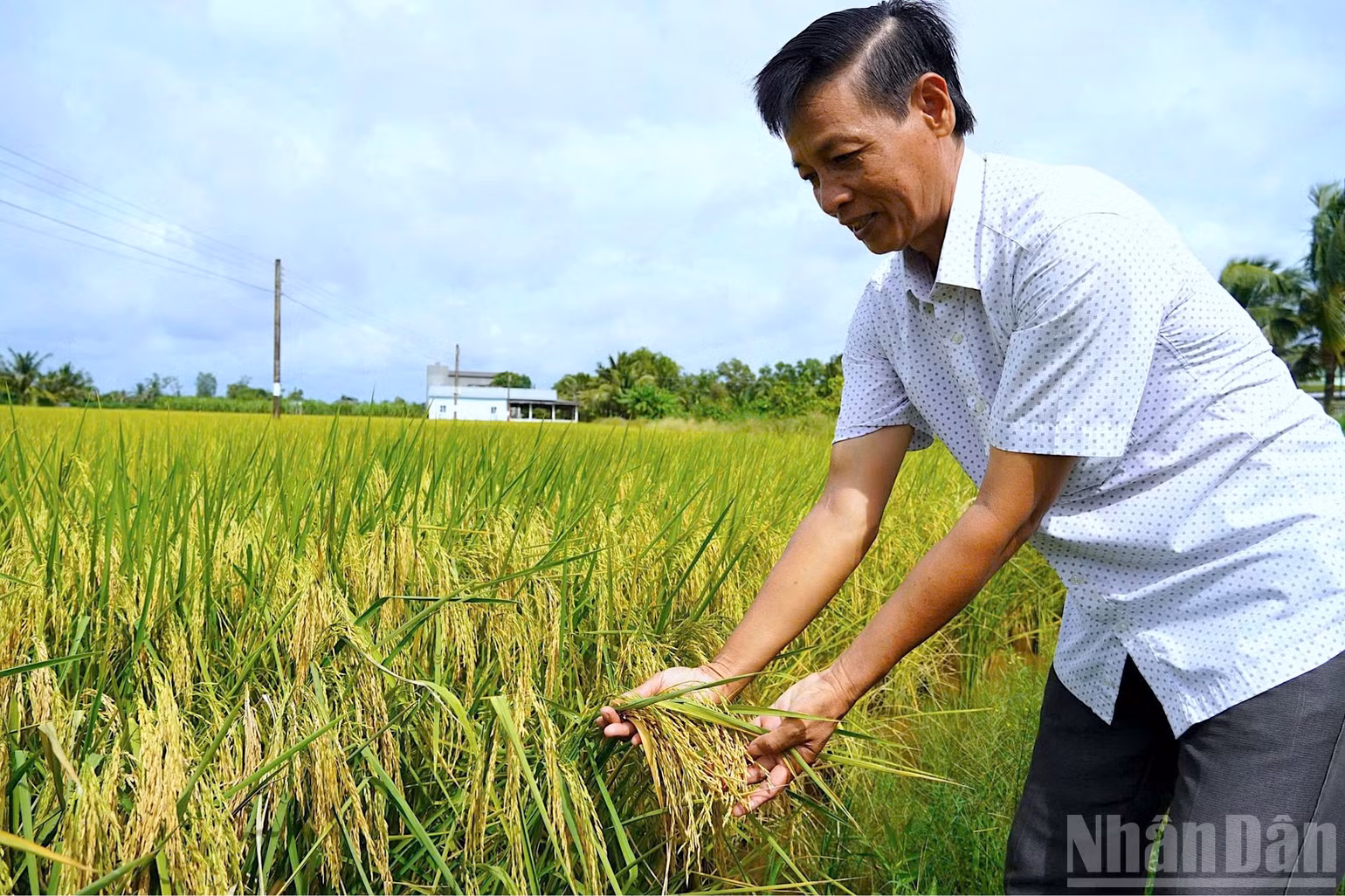 ndo_br_anh-11-2772.jpg