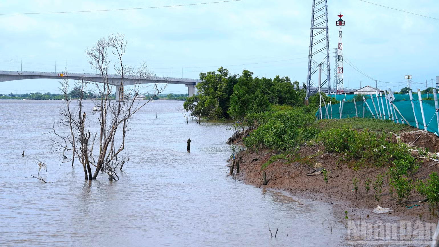 ndo_br_anh-6186.jpg