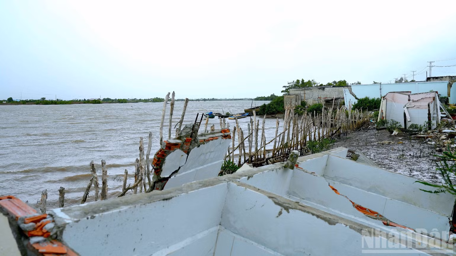 ndo_br_anh-8573.jpg