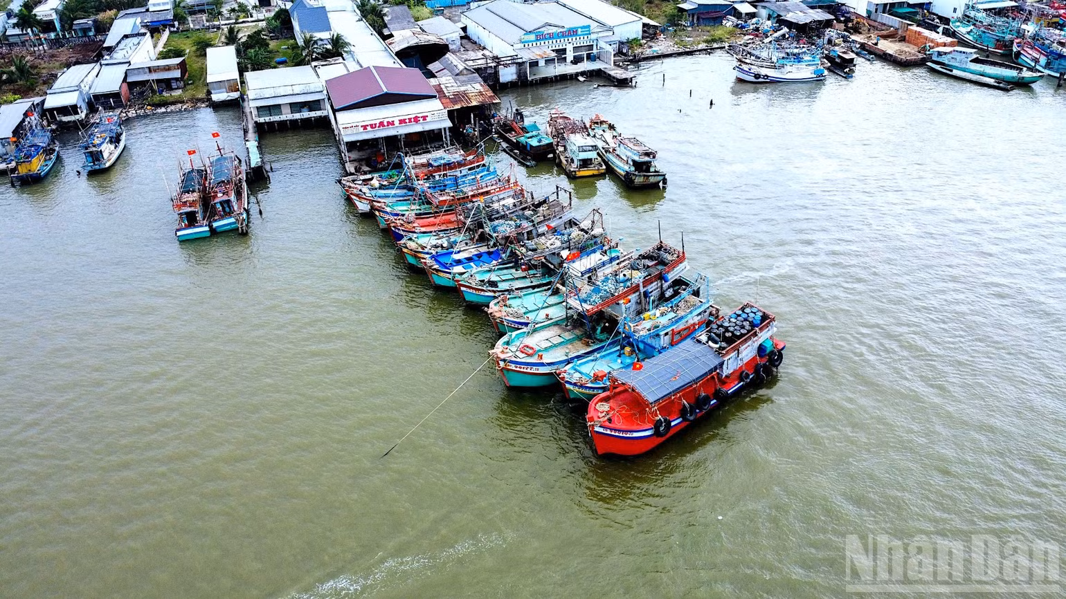 ndo_br_anh-1-7373.jpg
