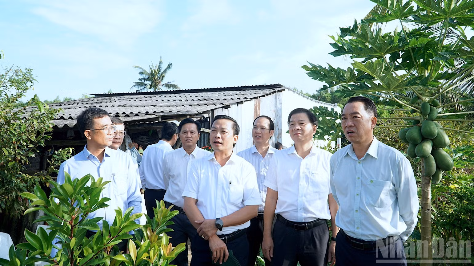 ndo_br_nguyen-phich-3.jpg
