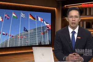[Video] Tiêu điểm 08/08: Khi tổng thống Mỹ D. Trump muốn Châu Âu chia sẻ chi phí an ninh