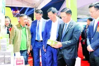 Hội chợ Công thương khu vực phía bắc tỉnh Ninh Bình năm 2025 là dịp để các doanh nghiệp Ninh Bình giới thiệu quảng bá sản phẩm.