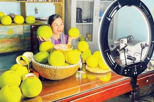 Các hợp tác xã đẩy mạnh quảng bá bưởi Phúc Trạch, livestream bán hàng trên các nền tảng mạng xã hội