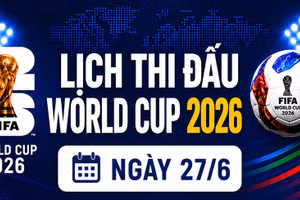Lịch thi đấu World Cup ngày 27/6: Tây Ban Nha và Bỉ bước vào trận quyết định