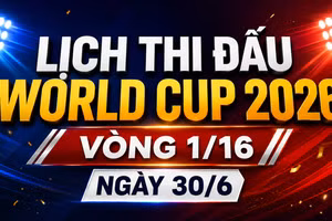 Lịch vòng loại trực tiếp World Cup ngày 30/6: Brazil đụng độ Nhật Bản, Đức đấu Paraguay