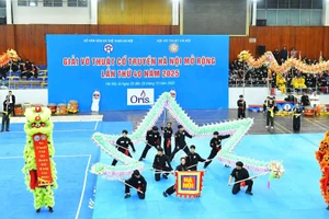 Màn biểu diễn của các võ sư tại Lễ khai mạc Giải Võ thuật cổ truyền Hà Nội mở rộng lần thứ 40. 