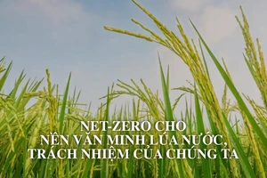 Net Zero cho nền văn minh lúa nước, trách nhiệm của chúng ta