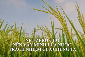 Net Zero cho nền văn minh lúa nước, trách nhiệm của chúng ta