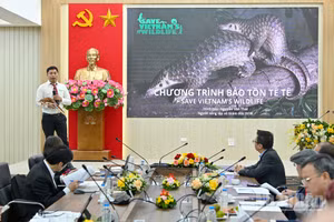 Đại diện dự án thuyết trình tại Vòng Chung kết Giải thưởng Hành động vì Cộng đồng - Human Act Prize 2025. (Ảnh: THỦY NGUYÊN)