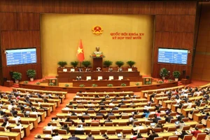 Quốc hội khóa XV biểu quyết thông qua Luật sửa đổi, bổ sung một số điều của Luật Sở hữu trí tuệ.