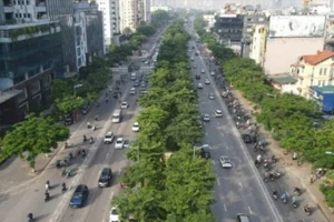 Nhiều tuyến đường Thủ đô sẽ được tổ chức cắt tỉa cây xanh, vén tán, nâng cao vòm lá hệ thống cây xanh, bảo đảm an toàn giao thông, mỹ quan đô thị.