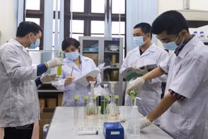 Hoạt động nghiên cứu tại Phòng Thí nghiệm trọng điểm Công nghệ Lọc, Hóa dầu (Viện Hóa học công nghiệp Việt Nam).
