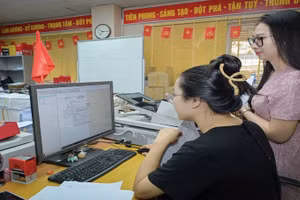 Cán bộ Cục Sở hữu trí tuệ cập nhật dữ liệu trên hệ thống quản trị đơn. 