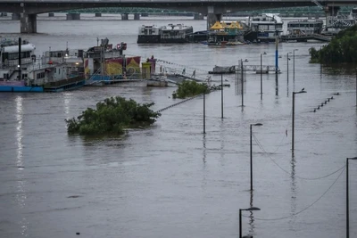 Ảnh minh họa. (Nguồn ảnh: Tân hoa xã)