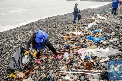 (Ảnh minh họa: Tân hoa xã)