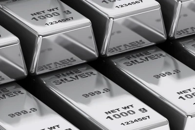 (Ảnh minh họa: silverinstitute.org)