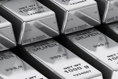 (Ảnh minh họa: silverinstitute.org)