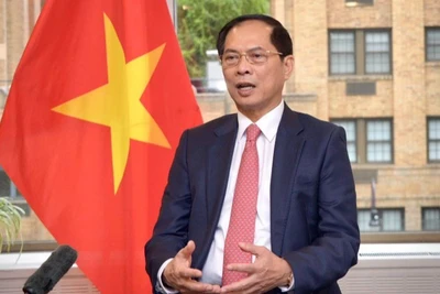 Phó Thủ tướng, Bộ trưởng Ngoại giao Bùi Thanh Sơn. (Ảnh: Bộ Ngoại giao cung cấp)