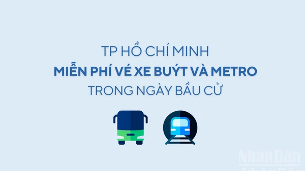 [Infographic] Thành phố Hồ Chí Minh miễn phí vé xe buýt và metro trong ngày bầu cử