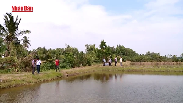 Chủ động dự báo điều tiết nguồn nước mùa khô năm 2026 tại Đồng bằng sông Cửu Long