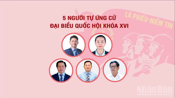 [Infographic] Năm người tự ứng cử đại biểu Quốc hội khóa XVI