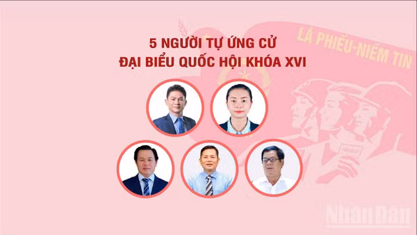 [Infographic] Năm người tự ứng cử đại biểu Quốc hội khóa XVI